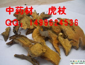 中藥材產(chǎn)業(yè)的多元脈絡(luò) 從產(chǎn)區(qū)到市場(chǎng)的價(jià)值躍遷