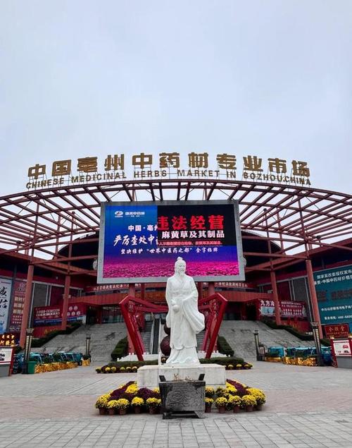 從央視曝光的馬錢子亂象看天麻、當(dāng)歸等中藥材的銷售困局與破局之道